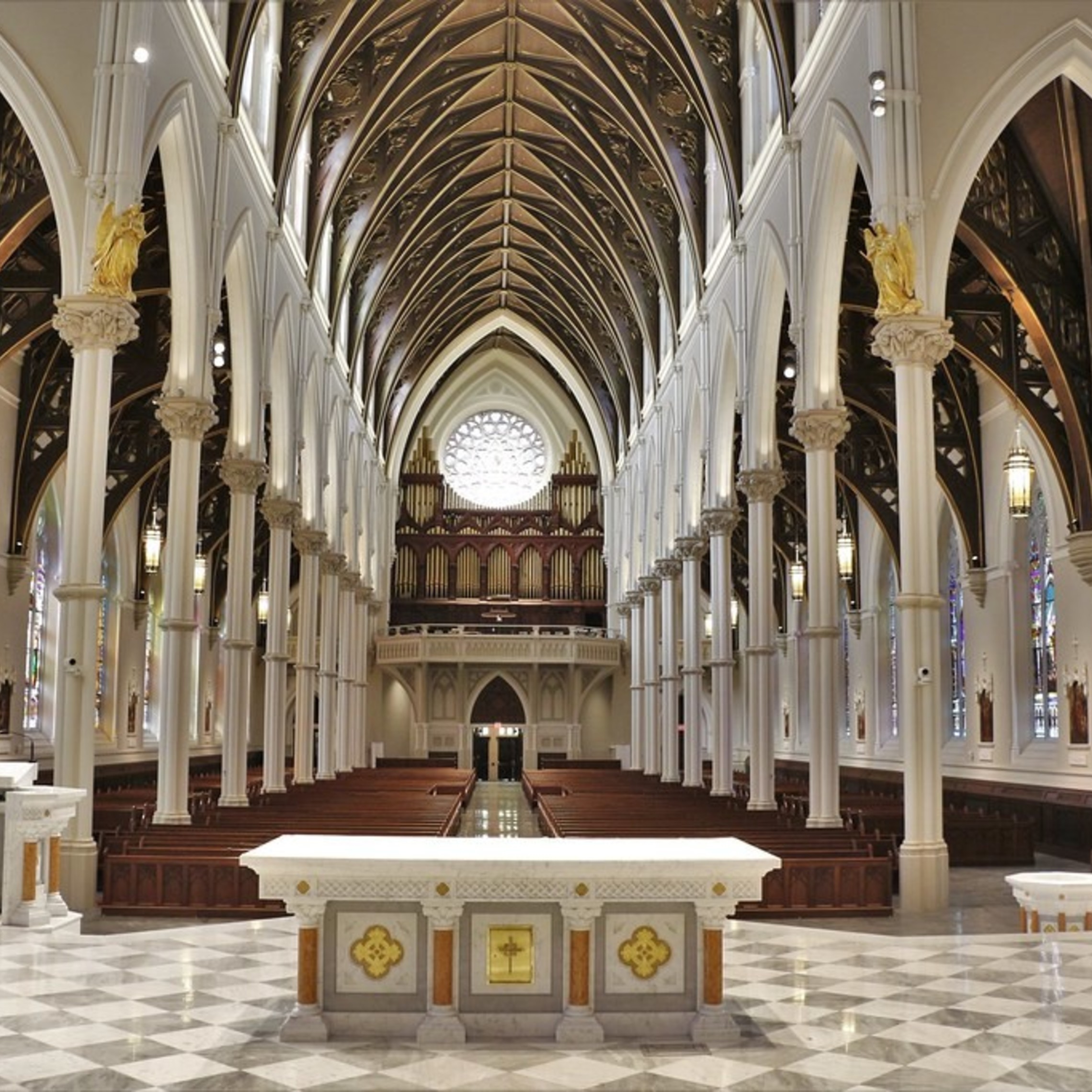 51900221488 18d54fcf2e B