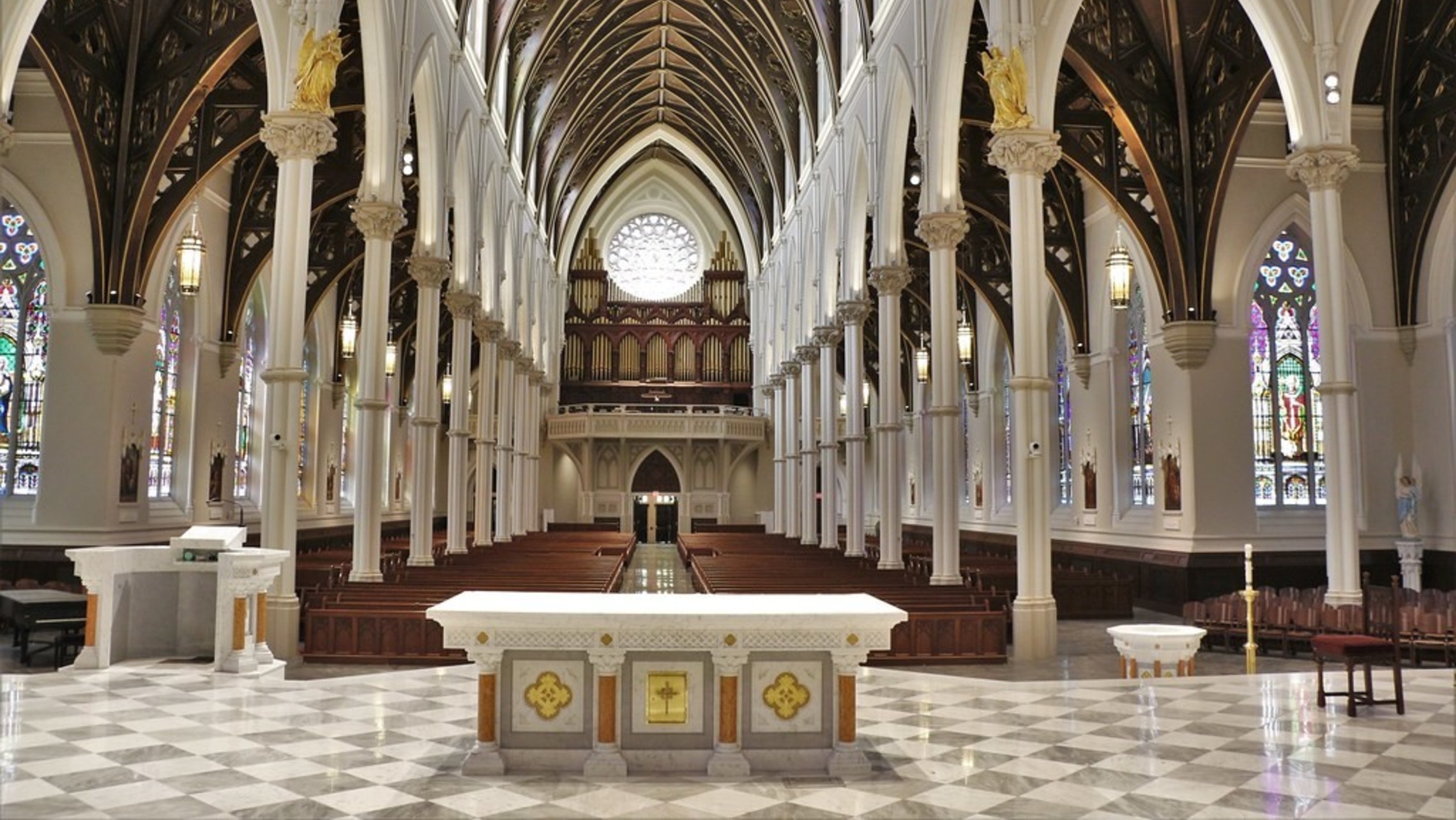 51900221488 18d54fcf2e B